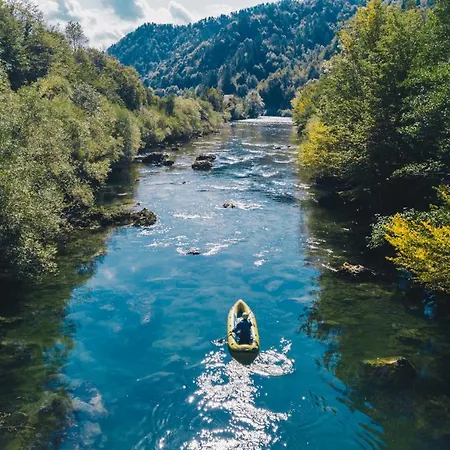 Bearlog Kocevje