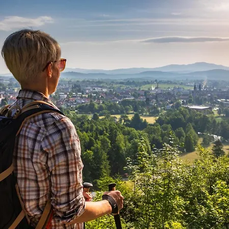 Bearlog Хостел