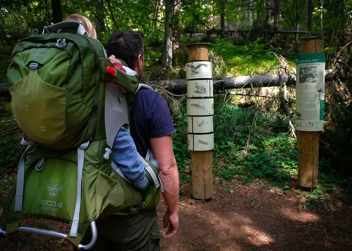 Hostel Bearlog Kocevje